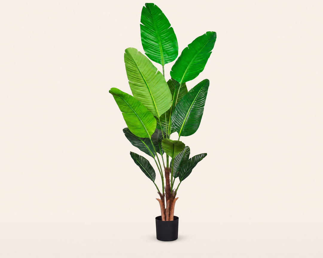 Planta Artificial Ave del Paraíso 180 cm con 12 Hojas - imagen 8