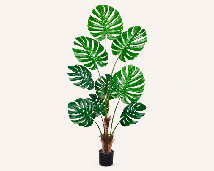 Planta Artificial Monstera Deliciosa 160 cm | 9 Hojas Realistas - imagen 8