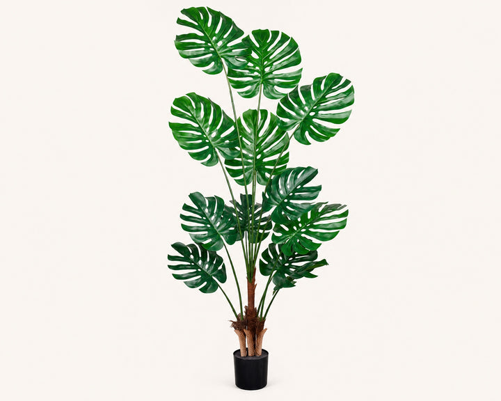 Planta Artificial Monstera 180 cm de Plástico Premium - imagen 8