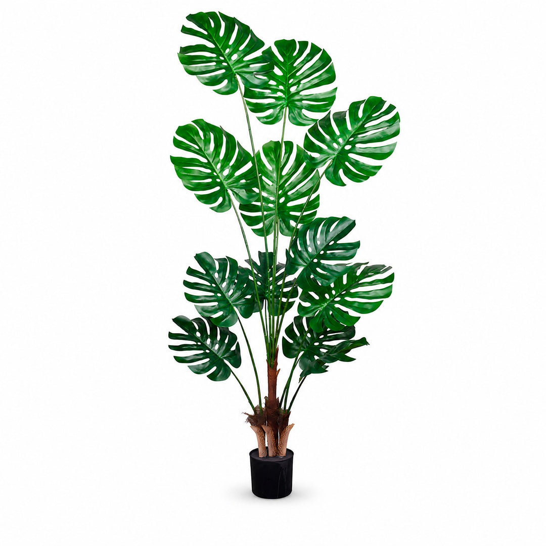 Planta Artificial Monstera 180 cm de Plástico Premium