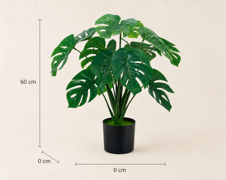 Monstera Artificial 60 cm con 10 Hojas Realistas - imagen 6