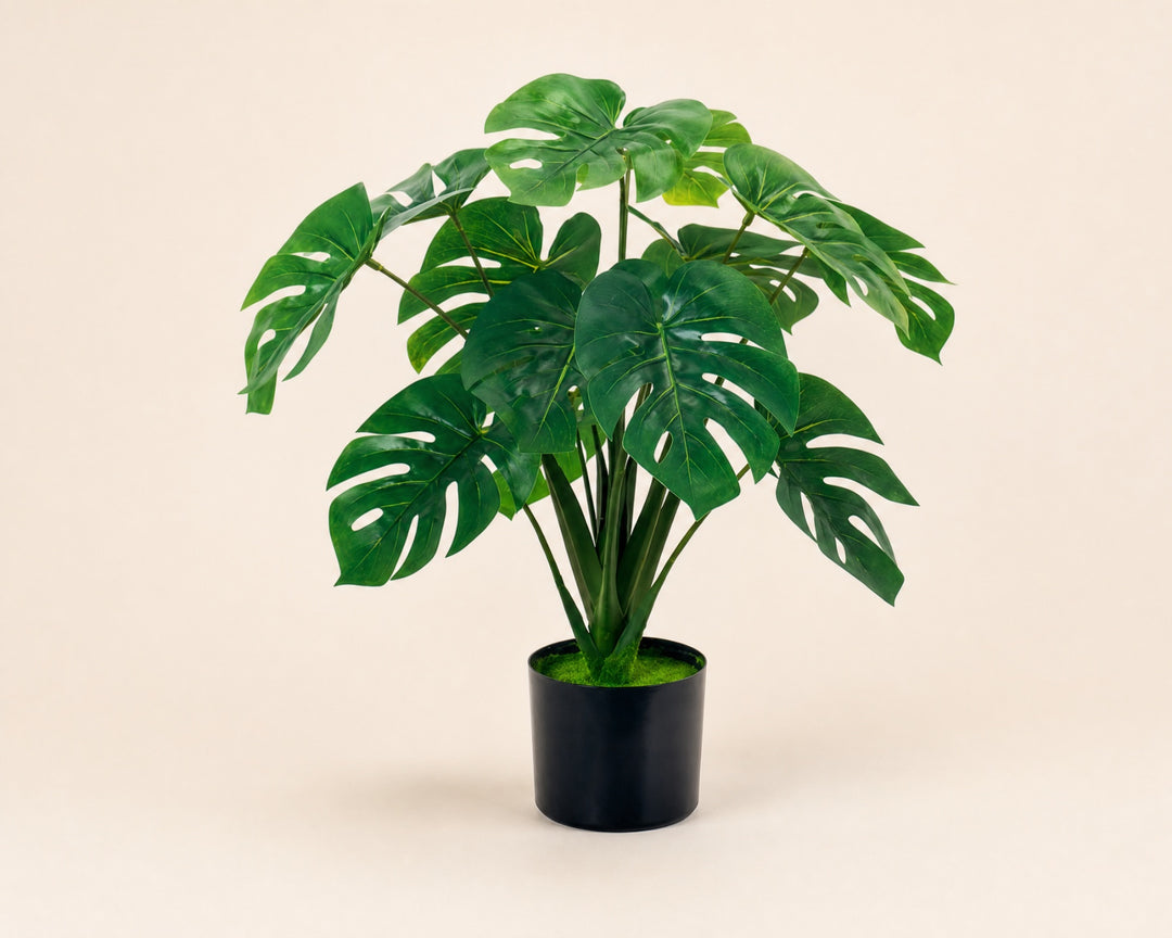 Monstera Artificial 60 cm con 10 Hojas Realistas - imagen 7