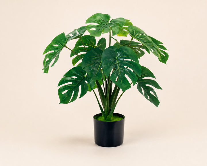 Monstera Artificial 60 cm con 10 Hojas Realistas - imagen 7
