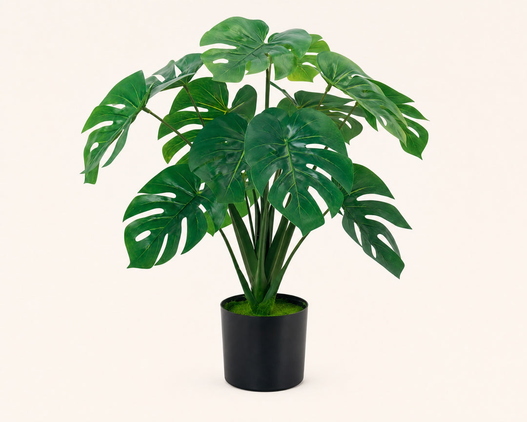 Monstera Artificial 60 cm con 10 Hojas Realistas - imagen 8