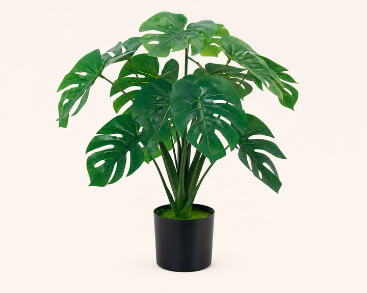 Monstera Artificial 60 cm con 10 Hojas Realistas - imagen 8