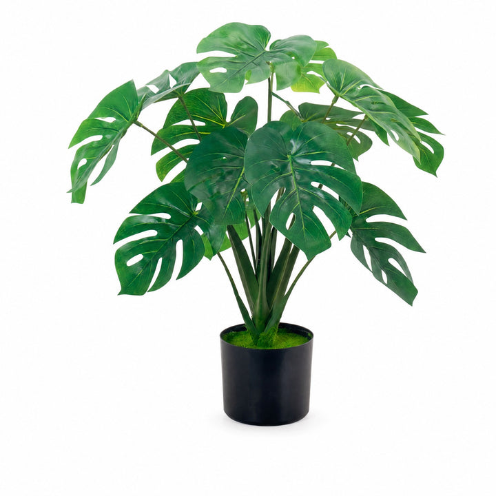 Monstera Artificial 60 cm con 10 Hojas Realistas