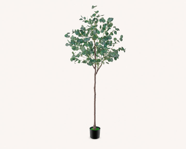 Planta Artificial Eucalipto 160 cm con 9 Ramas Realistas - imagen 8