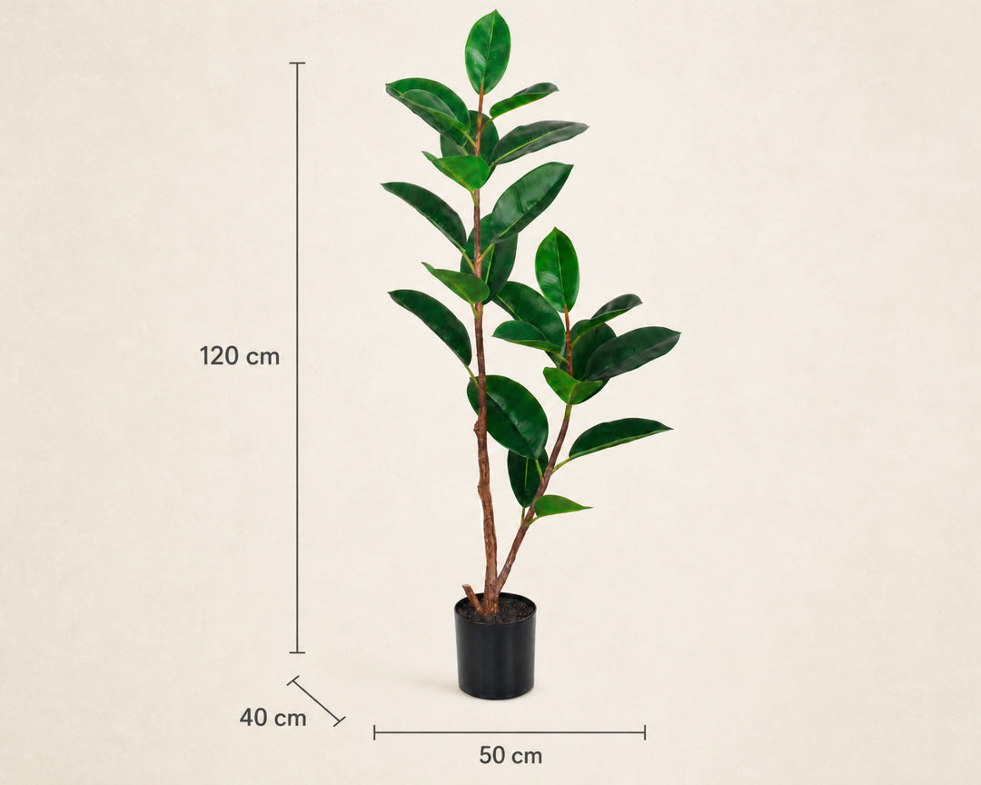 Ficus Elastica Artificial 120 cm con 23 Hojas Realistas - imagen 6