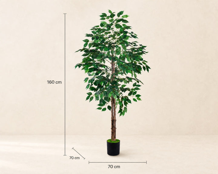 Ficus Benjamina Artificial 160 cm - Realismo y Elegancia - imagen 6