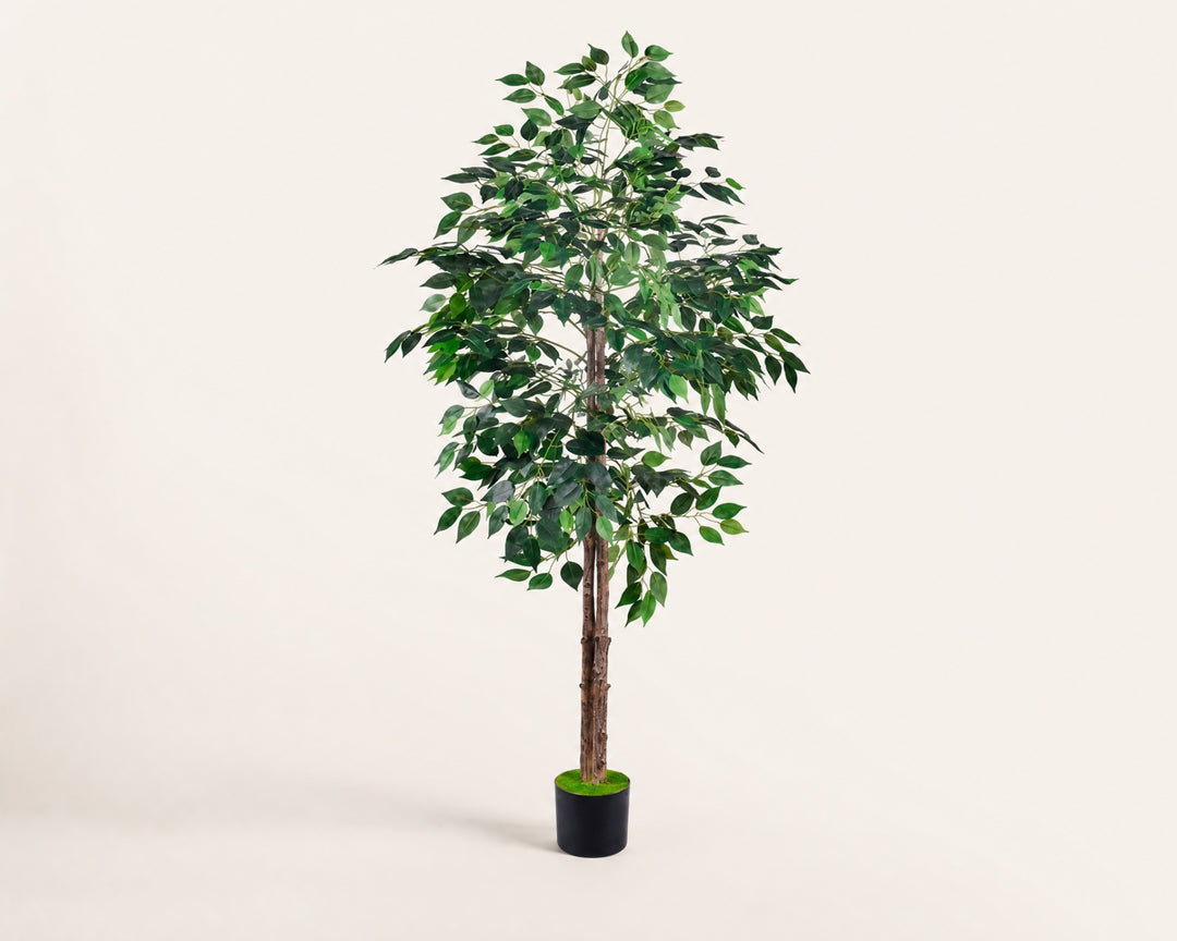 Ficus Benjamina Artificial 160 cm - Realismo y Elegancia - imagen 7