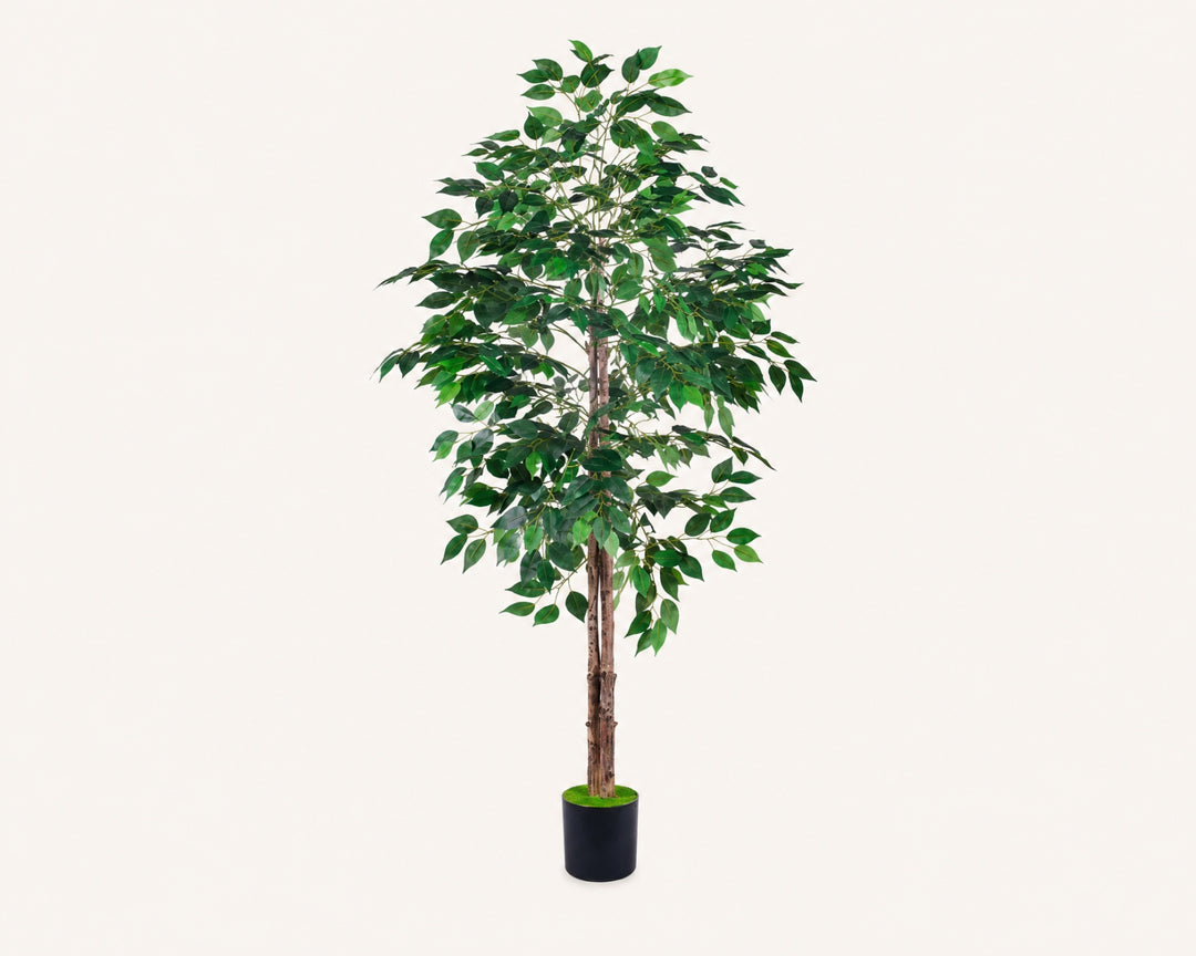 Ficus Benjamina Artificial 160 cm - Realismo y Elegancia - imagen 8
