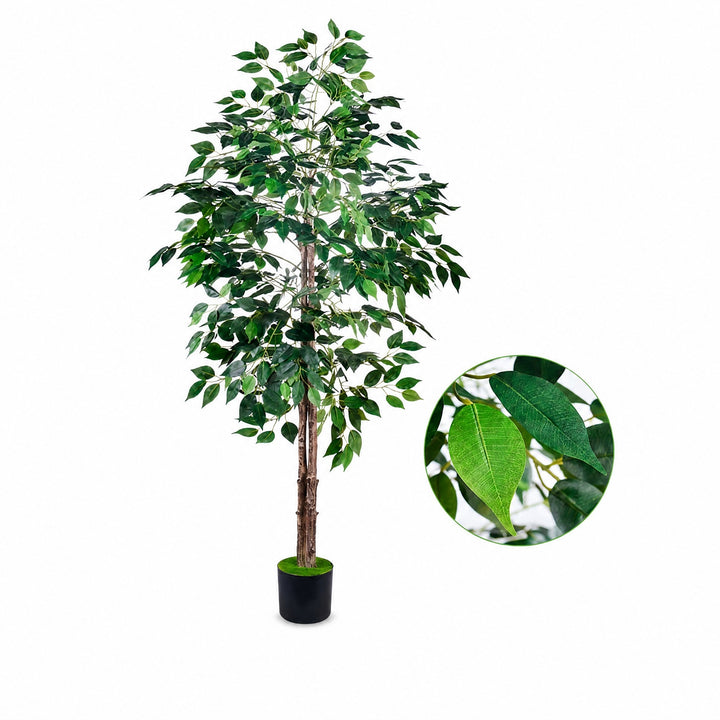 Ficus Benjamina Artificial 160 cm - Realismo y Elegancia
